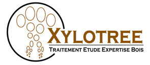 xylotree logo2'